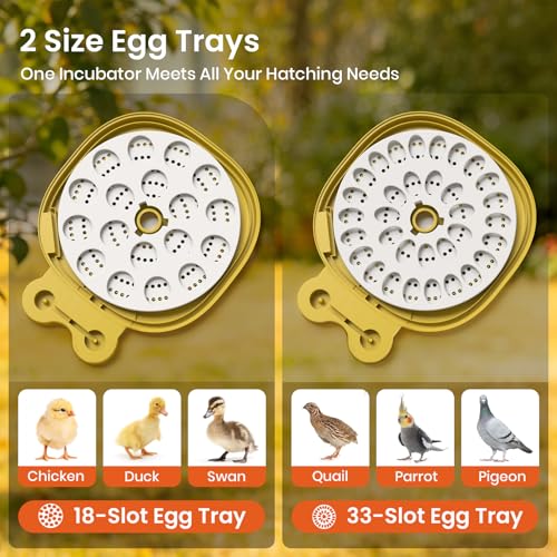 18&33 Egg Tray - Egg Incubators for Hatching Eggs with Automatic Egg Turning & Humidity Control, LED Display, Air Vent, Auto Water Refill & Egg Candler, for Turkey, Quail, Duck, Chicken Eggs