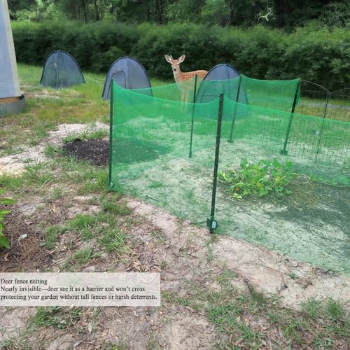 Plastic Garden Fence 4x65 FT Deer Fence Netting, Temporary Mesh Fencing Animal Barrier for Deer, Chicken, Poultry, Pet, Wildlife, Garden Bird Netting for Plant Fruit Tree Vegetable Protection - size: 4x65 FT