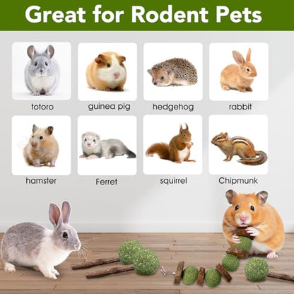 Jorewood 3 Pcs Bunny Chew Toys with 3 Pcs Rabbit Chew Lollipop for Teeth Grinding, Improve Dental Health, Treats for Rabbits Guinea Pigs Chinchillas Bunnies Hamsters - size: 6 count
