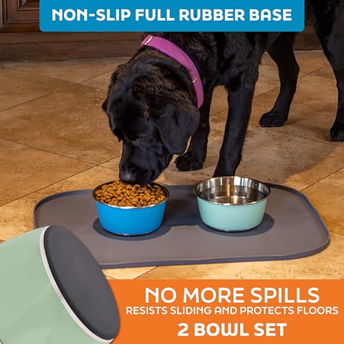 Master Pet Supply Stainless Steel Dog Bowls Set of 2 (32 Oz Each) with Non-Slip Rubber Base - Pistachio - Basic Dog Food Bowl Water & Food Bowls for Small Medium Large Dogs & Cats, Metal Dish - color: Pistachio, size: 4 Cups (32 oz) 2 Pack