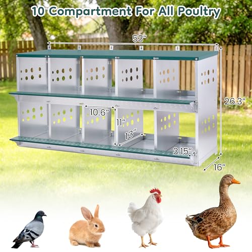 Yafylly 10-Bay Metal Nesting Box for Chickens & Ducks, Wall Mounted Galvanized Steel Coop with Ventilation and Easy Egg Collection