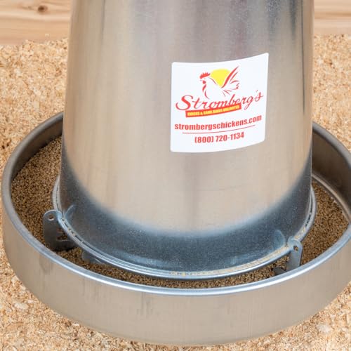 Stromberg's Metal Hanging Poultry Feeders, Galvanized Heavy Duty Steel, Holds 44 lbs Each, Rolled Edges for Safety, Secure Feed Flow Lock, Versatile Use Free Standing or Hanging | 5-Count