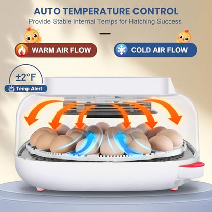 Sailnovo 24 Egg Incubators for Hatching Eggs - Automatic Temperature Control and Egg Turning, Egg Candler, 360° Clear View Incubator with 4 Hatching Modes for Chicken, Duck, Quail Eggs (Blue)