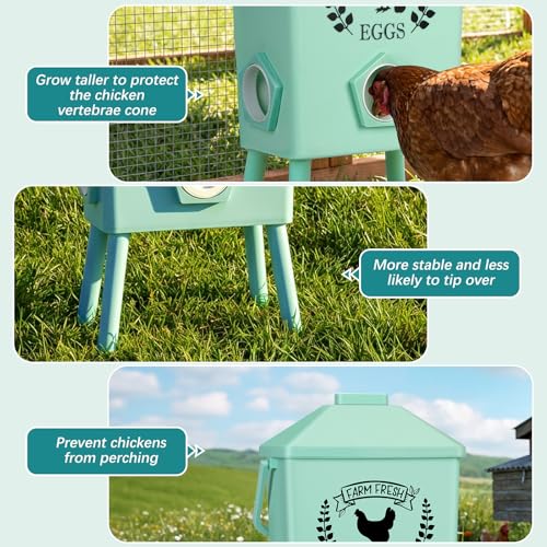 Tgeyd 21LB Automatic Chicken Feeder with Legs,Peak Roof Gravity Feeding Ports and Anti-Perching Roof,No Waste Poultry Food Including Chicken Feed