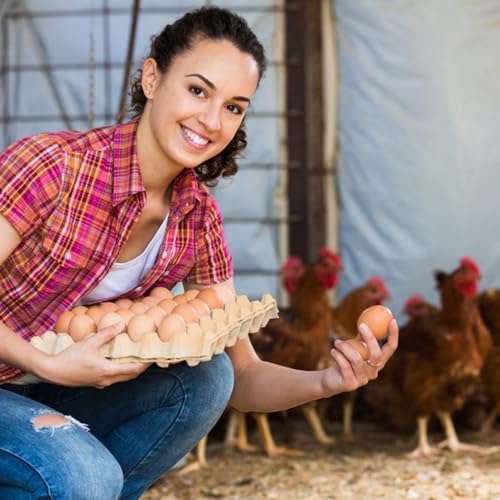 18 Flats 30-Cell Egg Crate?Holds 30 Eggs?, Cardboard Egg Cartons, Sturdy and Stackable Egg Flats, Perfect Egg Crates for Fresh Eggs, Chicken Farm - size: 18 Pack grey