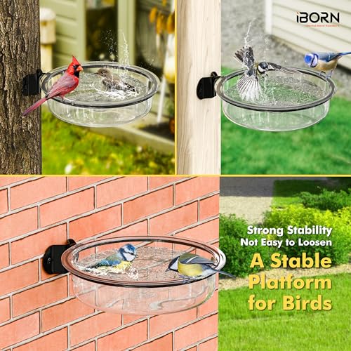 iBorn Wall Mounted Water Tray, Bird Bath for Outside, 7.3”Wildbird Water Bowl PC Plastic, Installed on Post, Wooden Fences, Trees and Walls, Clear, Pack of 1 - size: Water Tray, Pack of 1