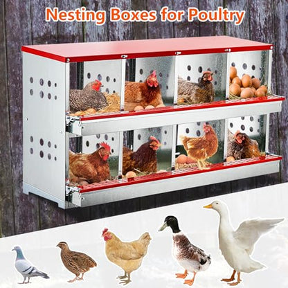 8-Compartment Chicken Nesting Box, Wall Mounted Roll Away Nesting Box for Laying Hens, Galvanized Steel Egg Laying Box with Collection Tray & Perch, Easy Clean Heavy Duty Poultry Nest Box