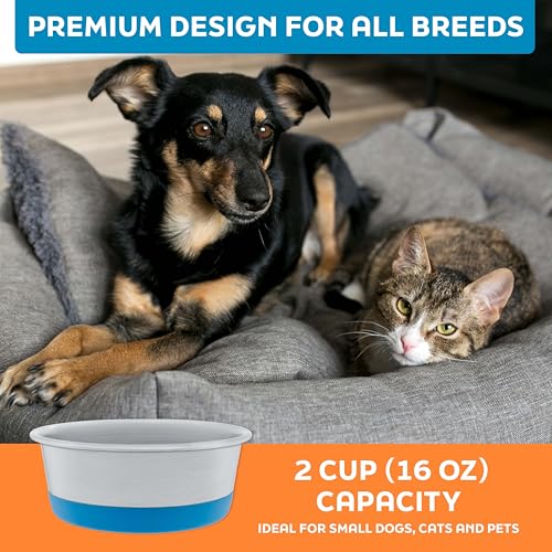 Master Pet Supply Stainless Steel Dog Bowls Set of 2 with Extra Thick Silicone Base - 2 Cup (16 oz) True Blue, Non-Slip, Dishwasher Safe Metal Bowls, Pet Dog Food Bowl for Dogs, Cats, Anti Rust - color: True Blue, size: 2 Cups (16 oz) 2 Pack