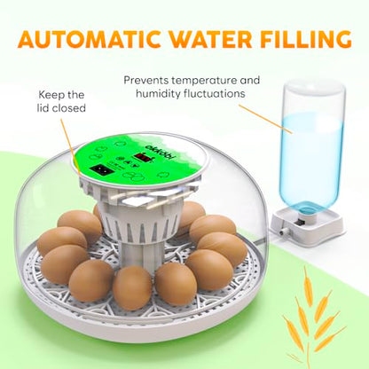 Okkobi M12 Egg Incubator with Automatic Turner and Humidity Control - 12/24 Eggs, 360° View, Easy to Use and Clean - Incubadora de Huevos de Gallina - Made for US - White & Green - color: Green