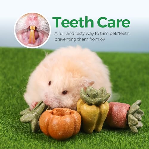 TEEWY Guinea Pig Chew Toys, Natural Vegetables and Timothy Grass, Hamster Chew Toys, Prevents Excessive Tooth Growth in Chinchillas, Gerbils, Hamsters, and Rabbits, Fruits & Vegetables Set - style: 3PCS-Fruit & Vegetable