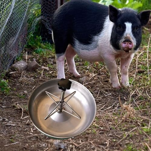 Pig Trough,Food Feeder,Stainless Steel Food Dispenser,Farm Supplies Tray,Small Animals Fodder Slot,Pig Feeder for Farm Piglet, Dia 28cm - size: Dia 28cm