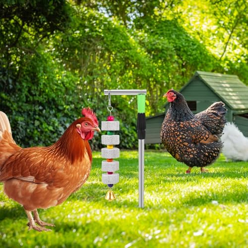 Kalekey 2 Pack Chicken Chewing Toy, Adjustable Chicken Toys for Coop with Volcanic Stone, Multi-Functional Chicken Coop Accessory for Chickens, Birds, Rodents & Small Pets - color: 2 Pack