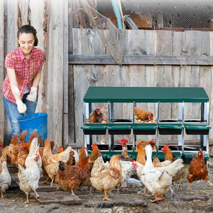 Nesting Boxes for Chickens - 10 Compartment Metal Roll Away Chicken Laying Boxes with Leg, Lid Cover, Protect Eggs, Easy Egg Collection, Chicken Nesting Box for Chicken Coop