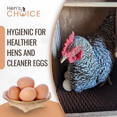 Hen's Choice™ - NestTurf Chicken Nesting Box Pad | Washable Plastic Nesting Box Liner | Chicken Bedding for Coop (47 5/8" x 96") - size: 47 5/8" x 96" (standard)