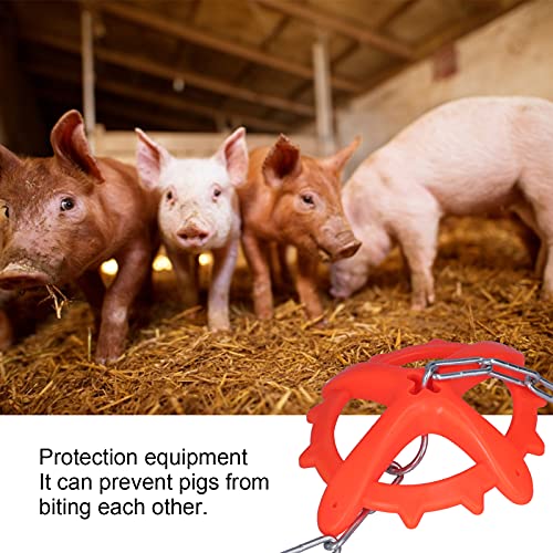 Pig Bite Toy, Professional Adjustable Iron Pig Biting Plastic Toy for Farm for Animal Husbandry
