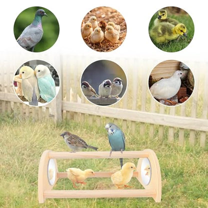 ALIBBON Mini Chicken Perch with Mirror Chick Strong Wooden Jungle Gym Roosting Bar Chicken Toys for Coop and Brooder Chick Training Perch for Large Bird Baby Chicks Parrot
