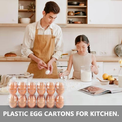 60PCS Egg Cartons 12 Count, 1 Dozen Clear Blank Egg Cartons Cheap Bulk for Large Eggs, Blank Chicken Egg Tray Holders for Family, Chicken Farm, Business Market Display - size: 60Pack-2x6 Grids