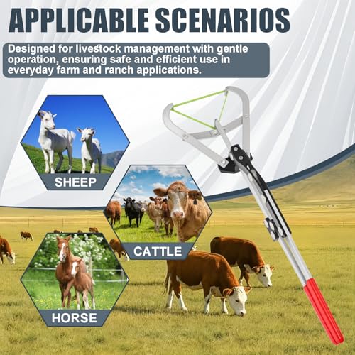 Cattle Banding Tool Kit, Stainless Steel Large Expander Pliers with 24pcs Rubber Bands, Bull Banding Tool for Big Livestock, Bull, Sheep, Goats, Calves Care on Farm and Ranch - color: silver, size: Large