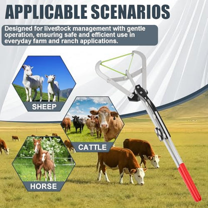 Cattle Banding Tool Kit, Stainless Steel Large Expander Pliers with 24pcs Rubber Bands, Bull Banding Tool for Big Livestock, Bull, Sheep, Goats, Calves Care on Farm and Ranch - color: silver, size: Large