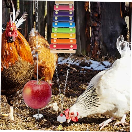 TOYANDONA Parrot Foraging with Hanging Swing Ladder and Colorful Beads Chicken Climbing Pecking for Cage Fun Chewing Bird for Pet Chicks