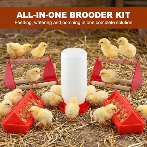 5-Pack Chick Feeder and Waterer, Baby Poultry Starter Set with 2 Feeder Troughs, 1L Waterer & 2 Wooden Perches, Small Chick Brooder Accessories for Chicken, Duck & Quail