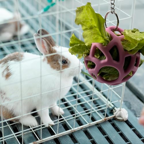 Rabbit Toys Hanger Treat Ball Silicone Hay Feeder with Stainless Steel Hanger for Turtle Bunny Squirrel Hedgehog Tortoise Guinea Pig Pets Cage Accessories Stuff (2 Pack) - size: 2 Pack