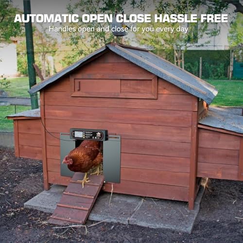 Automatic Chicken Coop Door with Horizontal Dual Opening, Remote & Manual Control, USB Backup, Predator-Proof Larger Opening Size House Door Solar Powered for Chicken, Duck and Poultry, Gray
