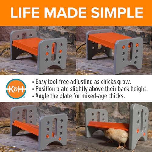 K&H Pet Products Chicken Brooder Heater for Chicks Ducklings, Adjustable Heating Plate for Brooder Boxes, Warms up to 15 Chicks, Chicken Coop Poultry Heating with Safety Light, Small 25 Watts - size: Small 13.5 X 8 X 8 Inches