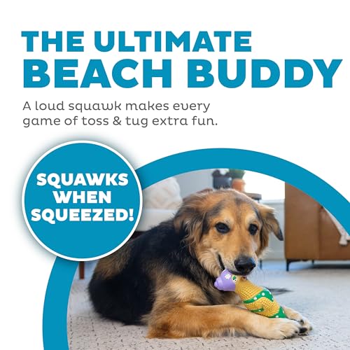 Outward Hound by Charming Pet Squawkers Grandma Hippie Chick Latex Squeaky Rubber Chicken Dog Toy, Funny Interactive Holiday Toy for Dogs, Large Size - color: Grandma Hippie Chick, size: Large