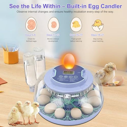 18 Egg Incubator for Hatching Chicks, Automatic Egg Turner Holds 18 Eggs, Smart Incubator 360° Clear Window with Temperature and Humidity Display Egg Candler for Small Poultry Ducks Quails Eggs