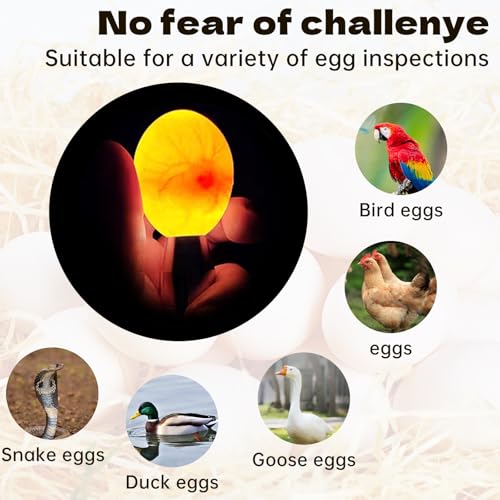 Cold Light LED lamp Egg Illuminator Egg Hatching Illuminator Suitable for Eggs, Duck Eggs, Bird Eggs, All Kinds of Eggs Illuminator