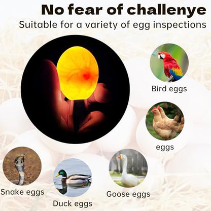 Cold Light LED lamp Egg Illuminator Egg Hatching Illuminator Suitable for Eggs, Duck Eggs, Bird Eggs, All Kinds of Eggs Illuminator