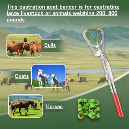 Extra Large Castration Banding Tool, Cattle Goat Bander with 24 Castration Bands, Easy to Operate, Rugged, for Large Sheep, Bull, Goat, Calf, Pig, and Cattle