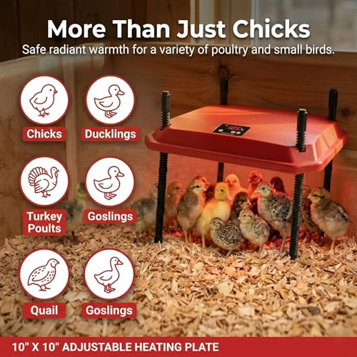 10"x10" Chick Brooder Heater Plate with Absorbent Pad - Safe Adjustable Poultry Coop Heater for 15 Chicks & Ducklings, Fire-Safe Heat Lamp Alternative for Baby Chickens - color: 10"*10"