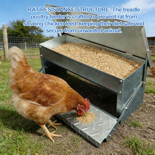 Diydeg Treadle Chicken Feeder, No Waste Large Capacity Stainless Steel Automatic Poultry Feeder Rat Proof Treadle for Chicken Duck Poultry Pheasants