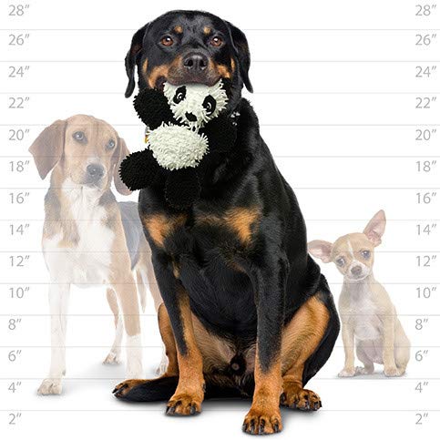 MIGHTY® 2 Pack Microfiber Medium Panda Dog Toys | Ultra Durable Plush Toy with Multiple Layers & Reinforced Seams , Washable and Floats , Mighty® Construction - color: 2PK Black White Panda