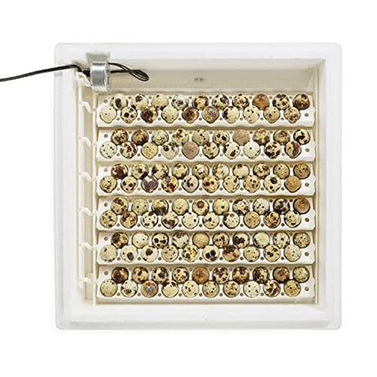 Farm Innovators 3400 Replacement Tray Rail for 120 Quail and Small Eggs (6 Pack) with 2450 Digital Circulated Air Incubator & Auto Egg Turner, White