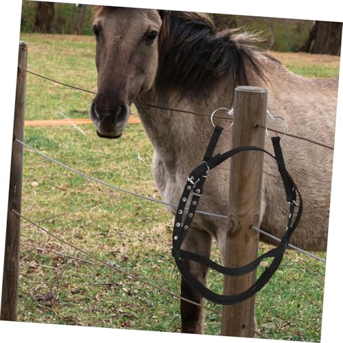 BESPORTBLE Rope Halters for Horses Nylon Rope Halters Rope Horse Halters - size: 254.00X3.00X0.50CM