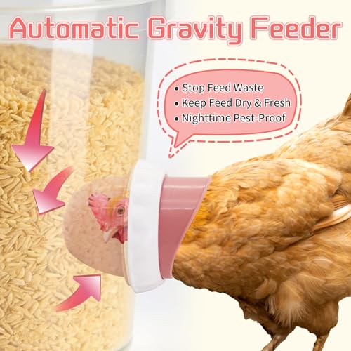 DIY Chicken Feeders 4 Ports Pink No Waste | Automatic Rain Proof, Poultry Feeder Kit, Includes 1 Hole Saw, for Buckets Barrels Bins Troughs - color: Pink