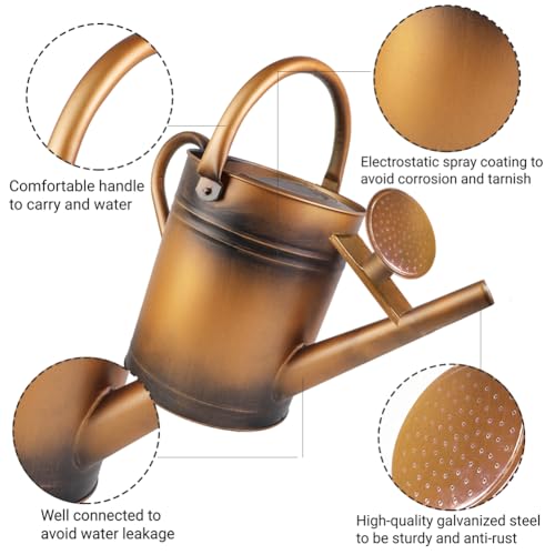 1 Gallon Metal Watering Can with Removable Spout, Nice Galvanized Steel Water Can for Indoor and Outdoor Plants (House Plants) - color: Bronze