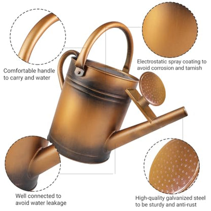 1 Gallon Metal Watering Can with Removable Spout, Nice Galvanized Steel Water Can for Indoor and Outdoor Plants (House Plants) - color: Bronze