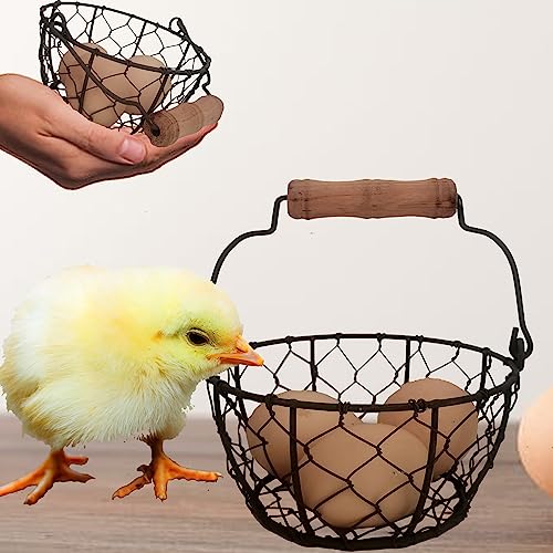 Small Wire Egg Collecting Basket with Handle, 2 PCS | Mini Rustic Farmhouse, Chicken Wire, Gathering Fresh Eggs from Coop, Vintage Countertop Holder, Easter Egg Hunt - color: Rusty small wire