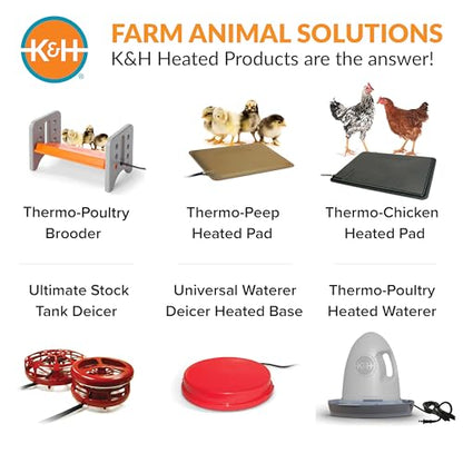 K&H Pet Products Chicken Brooder Heater for Chicks Ducklings, Adjustable Heating Plate for Brooder Boxes, Warms up to 15 Chicks, Chicken Coop Poultry Heating with Safety Light, Small 25 Watts - size: Small 13.5 X 8 X 8 Inches