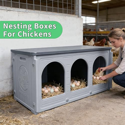 Rockever Nesting Boxes for Chickens, Plastic Nesting Boxes for Chicken Coop, Waterproof 3 Compartment Chicken Nesting Box for Laying Eggs for Hens, Ducks and Poultry