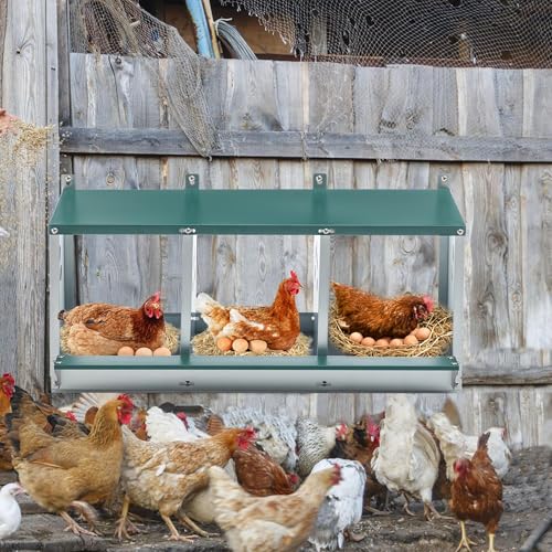 3 Compartment Metal Nesting Box for Chickens, Galvanized Steel Roll Away Egg Laying Box with Ventilation Holes, Easy Wall Mount or Connectable, Green Heavy Duty Hen Nest for Coop - size: 32.1"L x 16.3"W x 15.4"H