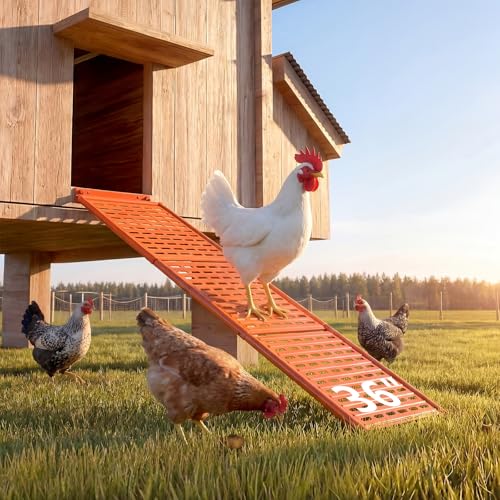 Lilyang Heavy Duty Chicken Coop Ladder Ramp, Weather-Resistant Non-Slip Design, Detachable for Easy Cleaning, for Coop Door, Nest Box, Duck Pool - Replace Wooden Ramps (Orange, 36.0″L*10.2″W) - color: Orange, size: 36.0″L*10.2″W