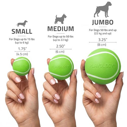 Playology Dog Toys | Squeaky Chew Ball for Dogs, Value 3-Pack | Sweet Potato Scented Small Dog Balls | Bouncy Floating Chew Toys for Fetch - size: Small (VALUE 3-Pack), style: Sweet Potato