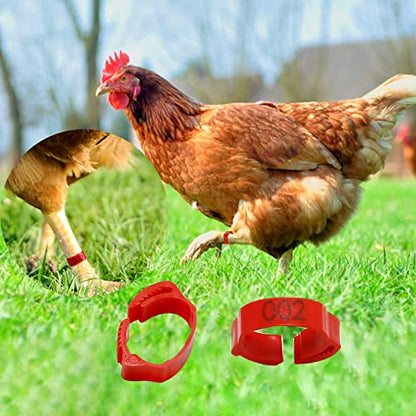100 Pcs Chicken Leg Bands Adjustable Chicken Marker 6 Slots 20mm Chicken Leg Marker Rings Colorful Poultry Leg Rings Numbered Chicken Leg Rings (Red Rose Orange Yellow Green)