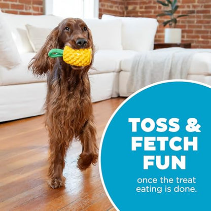 Outward Hound Dental Pineapple Dog Toy & Treat Stuffer, 6.8″ x 3.3″ Pineapple-Scent Interactive Chew for Dogs, Promote Healthy Teeth, Gums & Mental Enrichment, Reduce Boredom & Support Dental Health - color: Pineapple