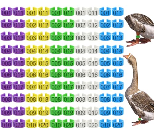 Keedolla 100Pcs 25mm Chicken Leg Rings Duck Leg Bands with 5 Color, Poultry Leg Bands Clip on Leg Rings for Ducks Guinea Goose Gamefowl Turkey - Large - size: 25mm - 5 Colors